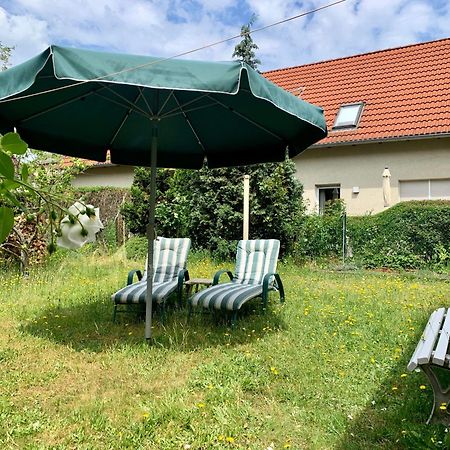 Grosse Ferienwohnung Mit Loggia Und Garten In 科特布斯 外观 照片
